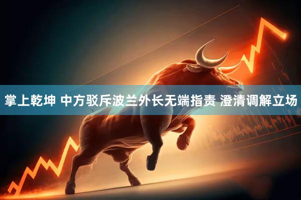 掌上乾坤 中方驳斥波兰外长无端指责 澄清调解立场