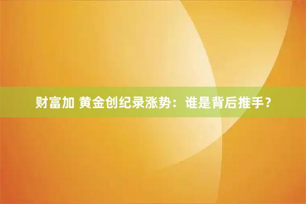 财富加 黄金创纪录涨势：谁是背后推手？