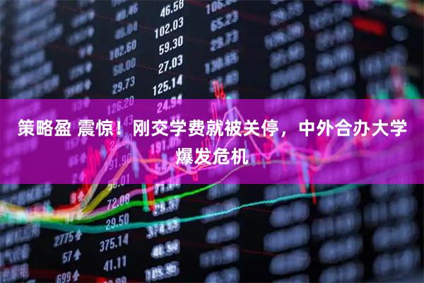 策略盈 震惊！刚交学费就被关停，中外合办大学爆发危机