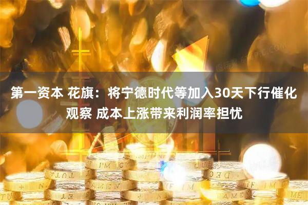 第一资本 花旗：将宁德时代等加入30天下行催化观察 成本上涨带来利润率担忧