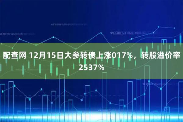 配查网 12月15日大参转债上涨017%,转股溢价率2537%