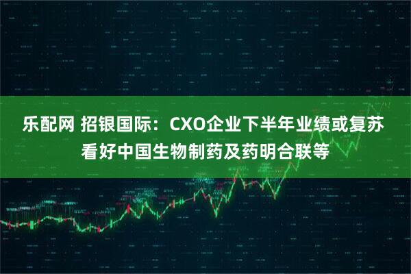 乐配网 招银国际:CXO企业下半年业绩或复苏 看好中国生物制药及药明合联等
