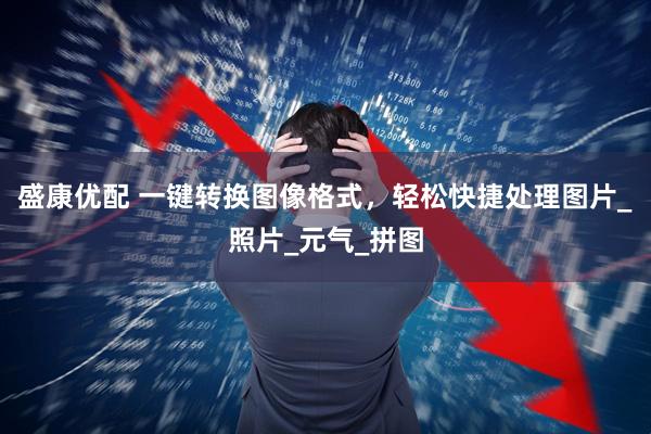 盛康优配 一键转换图像格式，轻松快捷处理图片_照片_元气_拼图